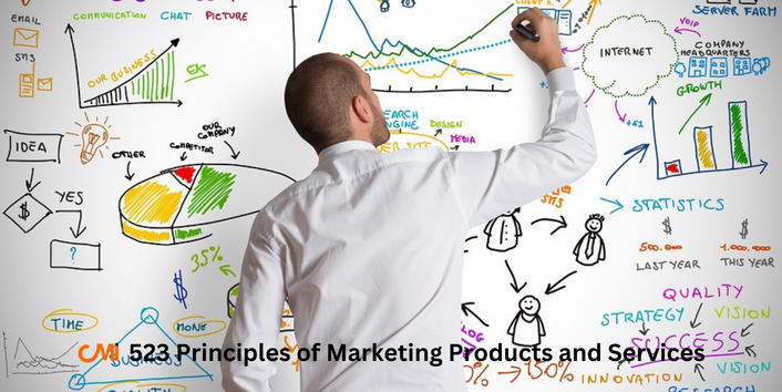 CMI 523 Principles of Marketing Products and Services