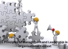 CMI 501 Principles of Management and Leadership in an Organisational Context