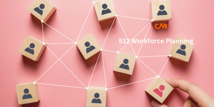 CMI 512 Workforce Planning